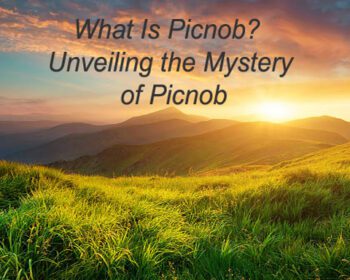 What Is Picnob? Unveiling the Mystery of Picnob